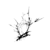 seqclust/clustering/clusters/dir_CL0107/CL107_tmb.png