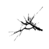 seqclust/clustering/clusters/dir_CL0109/CL109_tmb.png