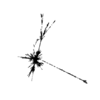 seqclust/clustering/clusters/dir_CL0110/CL110_tmb.png