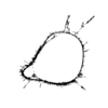 seqclust/clustering/clusters/dir_CL0111/CL111_tmb.png