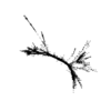 seqclust/clustering/clusters/dir_CL0119/CL119_tmb.png