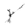 seqclust/clustering/clusters/dir_CL0120/CL120_tmb.png