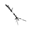 seqclust/clustering/clusters/dir_CL0121/CL121_tmb.png