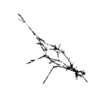 seqclust/clustering/clusters/dir_CL0122/CL122_tmb.png