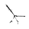 seqclust/clustering/clusters/dir_CL0124/CL124_tmb.png