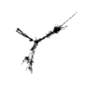 seqclust/clustering/clusters/dir_CL0125/CL125_tmb.png