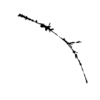 seqclust/clustering/clusters/dir_CL0126/CL126_tmb.png