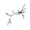 seqclust/clustering/clusters/dir_CL0131/CL131_tmb.png