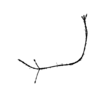 seqclust/clustering/clusters/dir_CL0133/CL133_tmb.png