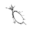 seqclust/clustering/clusters/dir_CL0135/CL135_tmb.png