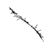 seqclust/clustering/clusters/dir_CL0137/CL137_tmb.png
