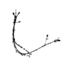 seqclust/clustering/clusters/dir_CL0138/CL138_tmb.png