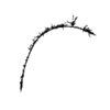seqclust/clustering/clusters/dir_CL0141/CL141_tmb.png