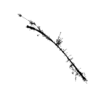 seqclust/clustering/clusters/dir_CL0142/CL142_tmb.png