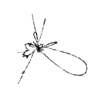 seqclust/clustering/clusters/dir_CL0145/CL145_tmb.png