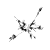 seqclust/clustering/clusters/dir_CL0146/CL146_tmb.png