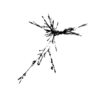seqclust/clustering/clusters/dir_CL0148/CL148_tmb.png