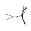 seqclust/clustering/clusters/dir_CL0150/CL150_tmb.png
