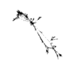 seqclust/clustering/clusters/dir_CL0152/CL152_tmb.png