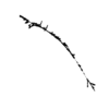 seqclust/clustering/clusters/dir_CL0155/CL155_tmb.png
