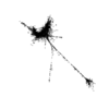 seqclust/clustering/clusters/dir_CL0157/CL157_tmb.png