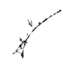 seqclust/clustering/clusters/dir_CL0159/CL159_tmb.png
