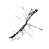 seqclust/clustering/clusters/dir_CL0165/CL165_tmb.png