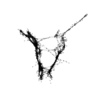 seqclust/clustering/clusters/dir_CL0166/CL166_tmb.png