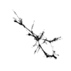 seqclust/clustering/clusters/dir_CL0167/CL167_tmb.png
