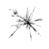 seqclust/clustering/clusters/dir_CL0168/CL168_tmb.png
