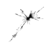 seqclust/clustering/clusters/dir_CL0171/CL171_tmb.png