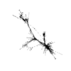 seqclust/clustering/clusters/dir_CL0173/CL173_tmb.png