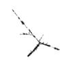 seqclust/clustering/clusters/dir_CL0174/CL174_tmb.png