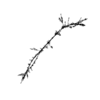 seqclust/clustering/clusters/dir_CL0177/CL177_tmb.png