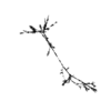 seqclust/clustering/clusters/dir_CL0178/CL178_tmb.png