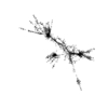 seqclust/clustering/clusters/dir_CL0179/CL179_tmb.png