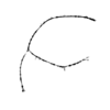 seqclust/clustering/clusters/dir_CL0187/CL187_tmb.png