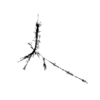 seqclust/clustering/clusters/dir_CL0188/CL188_tmb.png