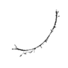seqclust/clustering/clusters/dir_CL0190/CL190_tmb.png