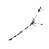 seqclust/clustering/clusters/dir_CL0192/CL192_tmb.png