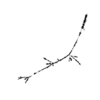 seqclust/clustering/clusters/dir_CL0194/CL194_tmb.png