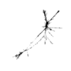 seqclust/clustering/clusters/dir_CL0198/CL198_tmb.png