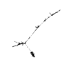 seqclust/clustering/clusters/dir_CL0199/CL199_tmb.png