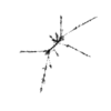 seqclust/clustering/clusters/dir_CL0203/CL203_tmb.png