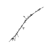 seqclust/clustering/clusters/dir_CL0205/CL205_tmb.png