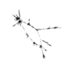 seqclust/clustering/clusters/dir_CL0206/CL206_tmb.png