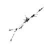 seqclust/clustering/clusters/dir_CL0208/CL208_tmb.png