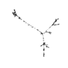 seqclust/clustering/clusters/dir_CL0213/CL213_tmb.png