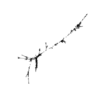 seqclust/clustering/clusters/dir_CL0216/CL216_tmb.png