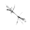 seqclust/clustering/clusters/dir_CL0221/CL221_tmb.png